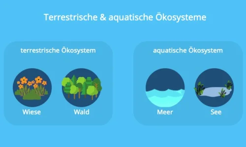 zemla-i-voda-ekosistem