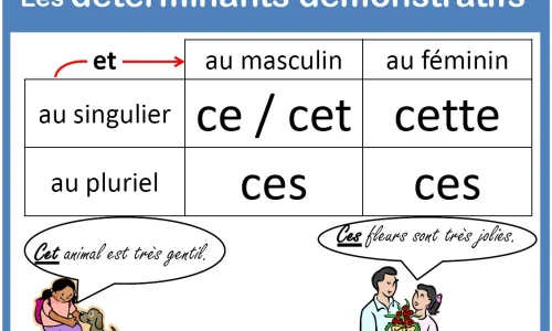 zhi-shi-dai-ci-zhe-zhe-xie-ce-cet-cette-ces