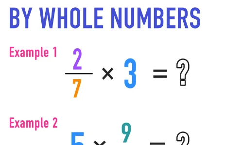 les-fractions-de-nombres-entiers