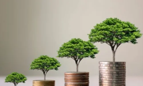 zhi-ding-tou-zi-xuan-ze