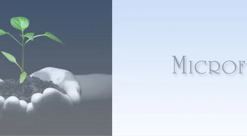 microfinanzas-un-prestamista-moderno