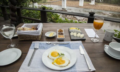 wo-yi-tian-de-kai-shi