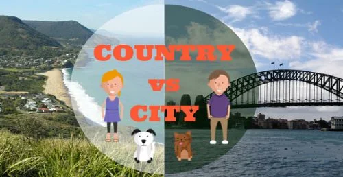 khan-xian-sheng-chu-zu-che-si-ji-shang-chengv-s-de-guo-jia-jiao-se-ban-yan