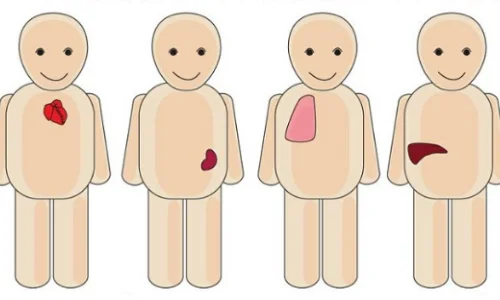 transplante-de-organos