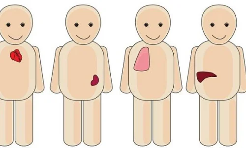 transplante-de-organos