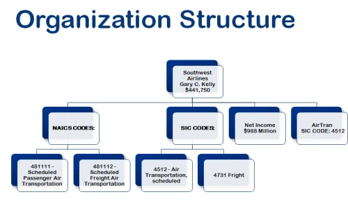 organisational-structures-and-common-job-titles