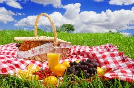 picnic-time