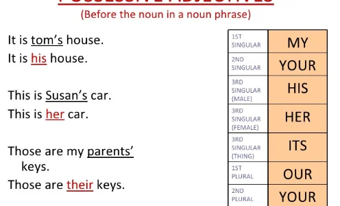 moj-sunduk-s-sokrovisami-pritazatel-nye-prilagatel-nye