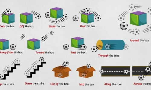 predlogi-dvizenia-i-napravlenia