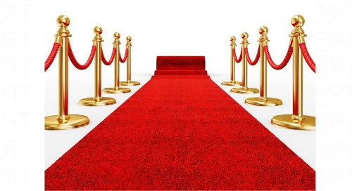 the-red-carpet-a-glimpse-of-international-film-awards