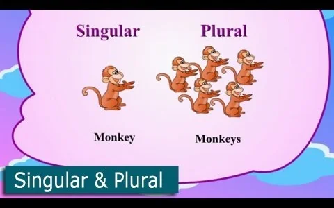 one-and-many-singular-plural
