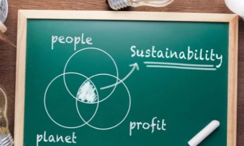 ke-chi-xu-lu-you-ye-de-fa-zhan