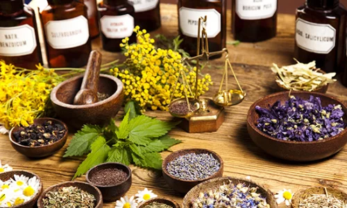 tradicionnaa-medicina