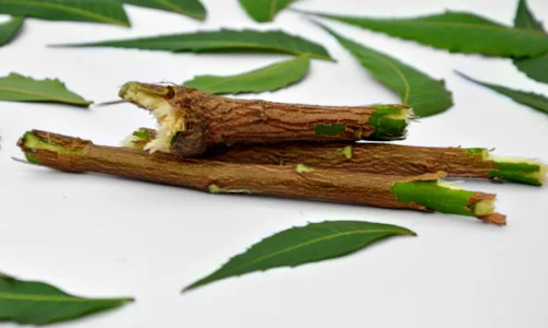 traditionelles-wissen-unter-dem-gesetz