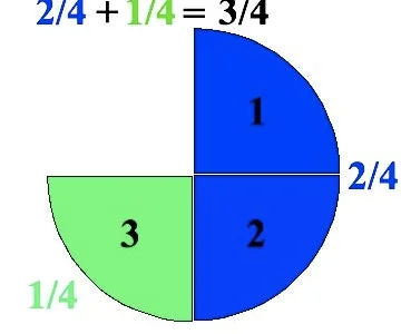 utilisation-de-fractions-1-2-1-4-1-8-pour-decrire-des-parties-d-un-groupe-ou-d-une-collection