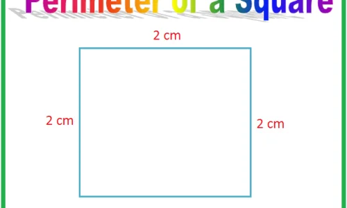 utiliser-le-centimetre-comme-unite-formelle-pour-mesurer-la-longueur-et-le-perimetre