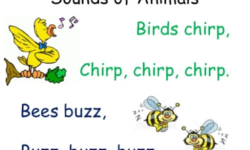 wenn-ich-traf-animal-and-bird-sounds