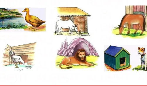 animali-e-le-loro-case-selvatici-e-domestici