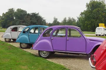 xue-tie-long2cv