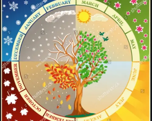 les-mois-et-les-saisons-de-l-annee