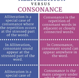 el-reloj-de-empaquetar-y-comercializar-las-cascaras