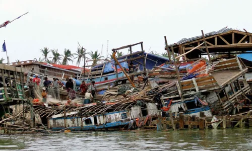 zhai-wu-he-zi-ran-zai-hai