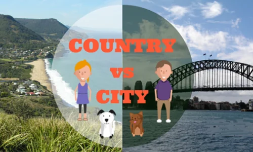 g-n-han-taksist-rolevaa-igra-na-gorod