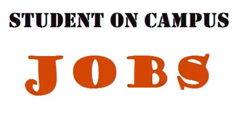 sulle-carriere-campus-teaching-assistant-guide-della-citta-universitaria-ecc