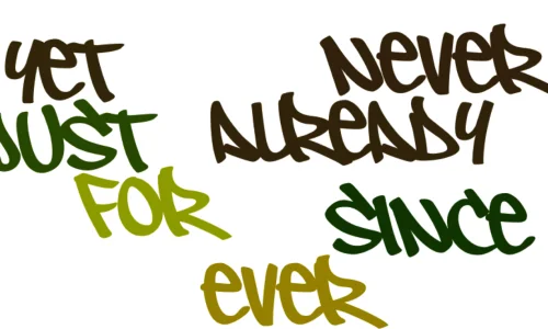 present-perfect-advanced-never-ever-already-since-for-etc