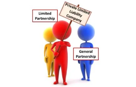 tipy-kompanij-pvt-public-business-start-up-i-t-d