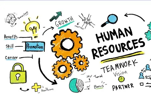 comment-fonctionnent-les-ressources-humaines-dans-votre-societe