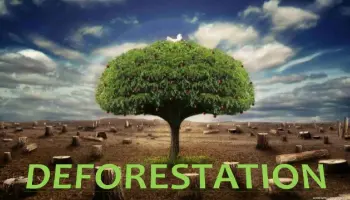 La-deforestation