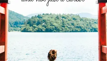 Diktieren-Karrieren-den-Lebensstil