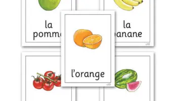 Vegetables-and-Fruits-Part-I