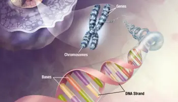 L-Ingenierie-genetique
