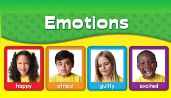 Emociones-Sentimientos