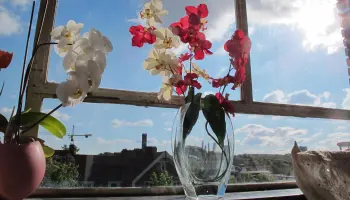 Airbnb-promete-cumplir-con-los-impuestos-de-alojamiento-de-Paris