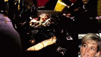 dai-an-na-wei-er-shi-gong-zhu-zhi-si