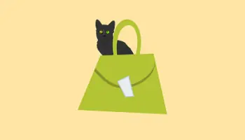 The-Cat-s-Outta-the-Bag-Idioms