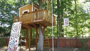 Let-s-build-a-tree-house