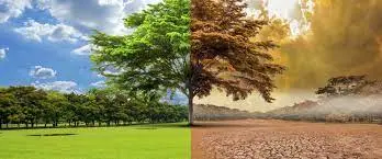 Le-rechauffement-climatique