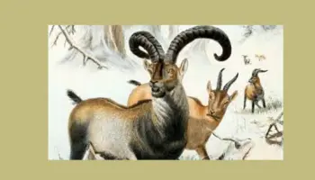 yi-qu-bu-fu-fan-le-di-1-bu-fen