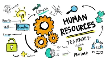 Wie-die-Mitarbeiter-in-Ihrer-Organisation-arbeiten