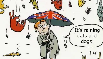 Redewendungen-und-Phrasen-Teil-III