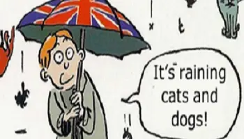 Idioms-And-Phrases-Part-III