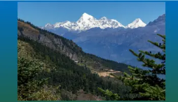 jin-ru-ye-sheng-dong-wu-he-huang-ye-de-pie-jian