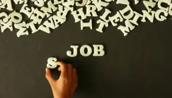 shen-me-shi-ta-men-de-gong-zuo