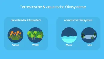 Zemla-i-voda-ekosistem