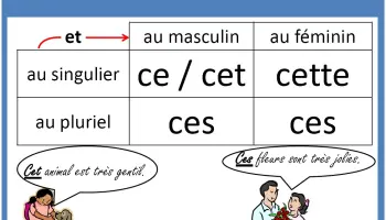 Demonstrativpronomen-Dieser-jener
