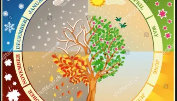 Les-mois-et-les-saisons-de-l-annee